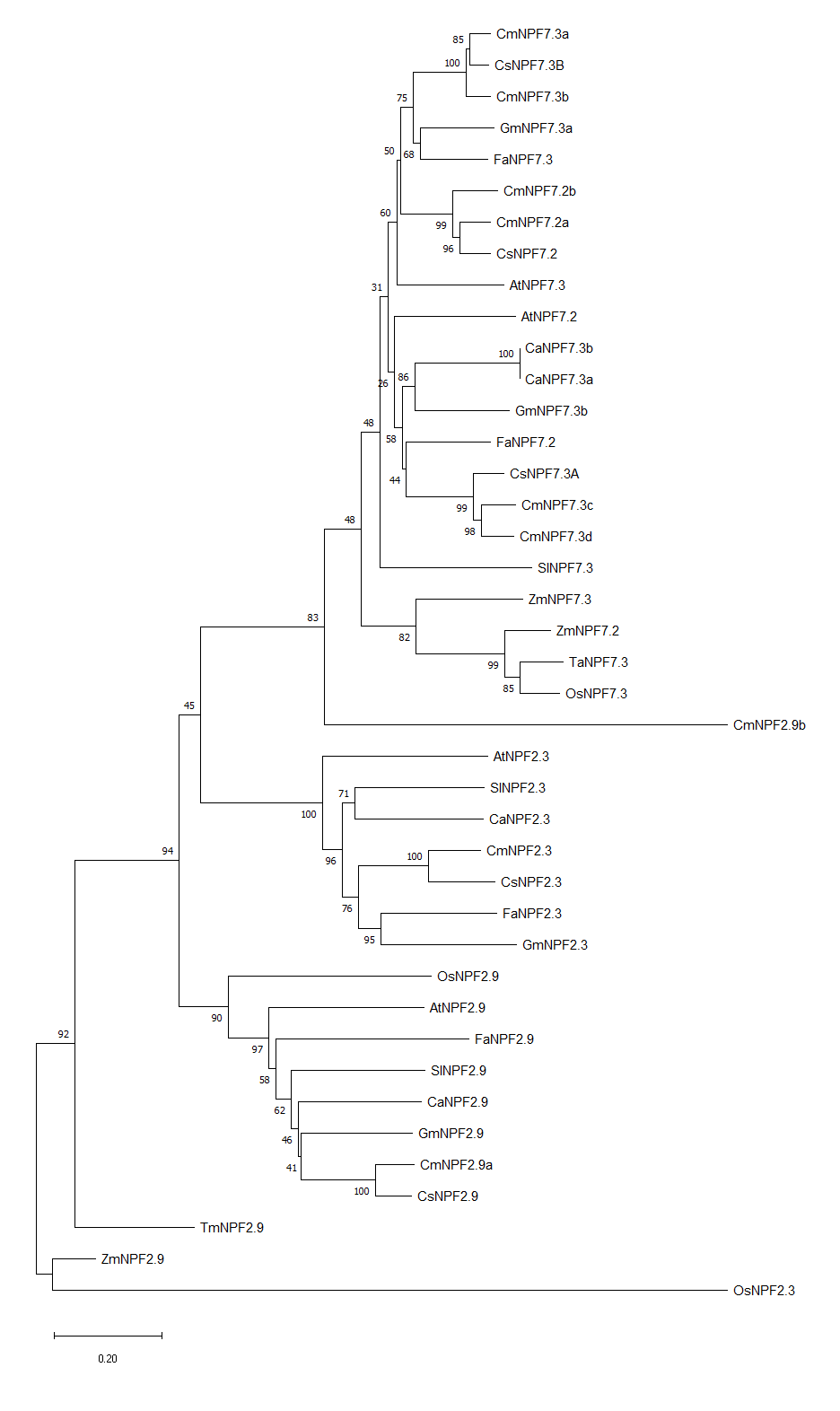 Sup.Figure1