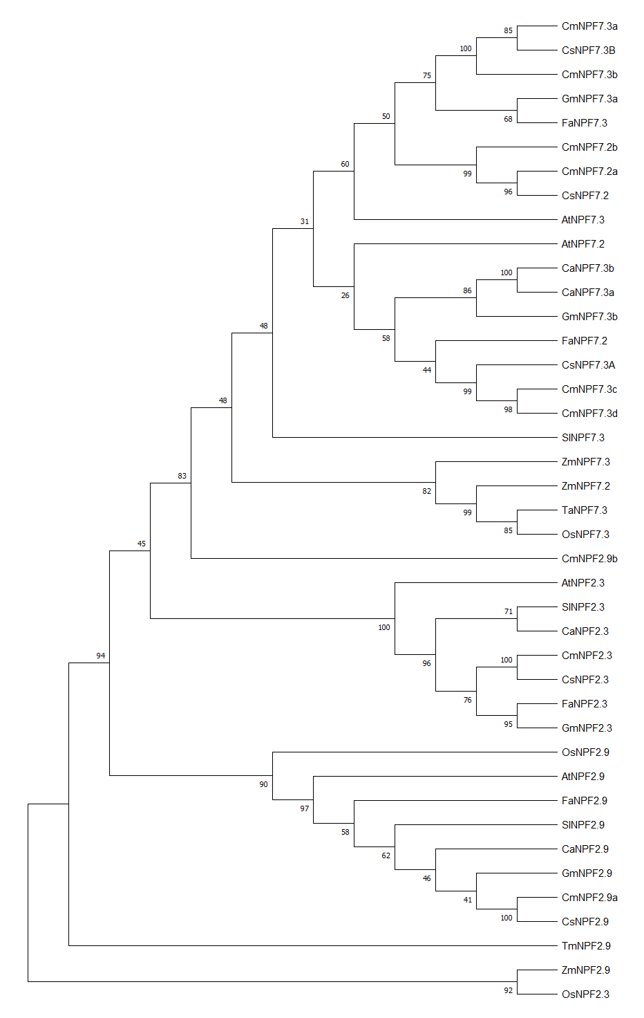 Sup.Figure2