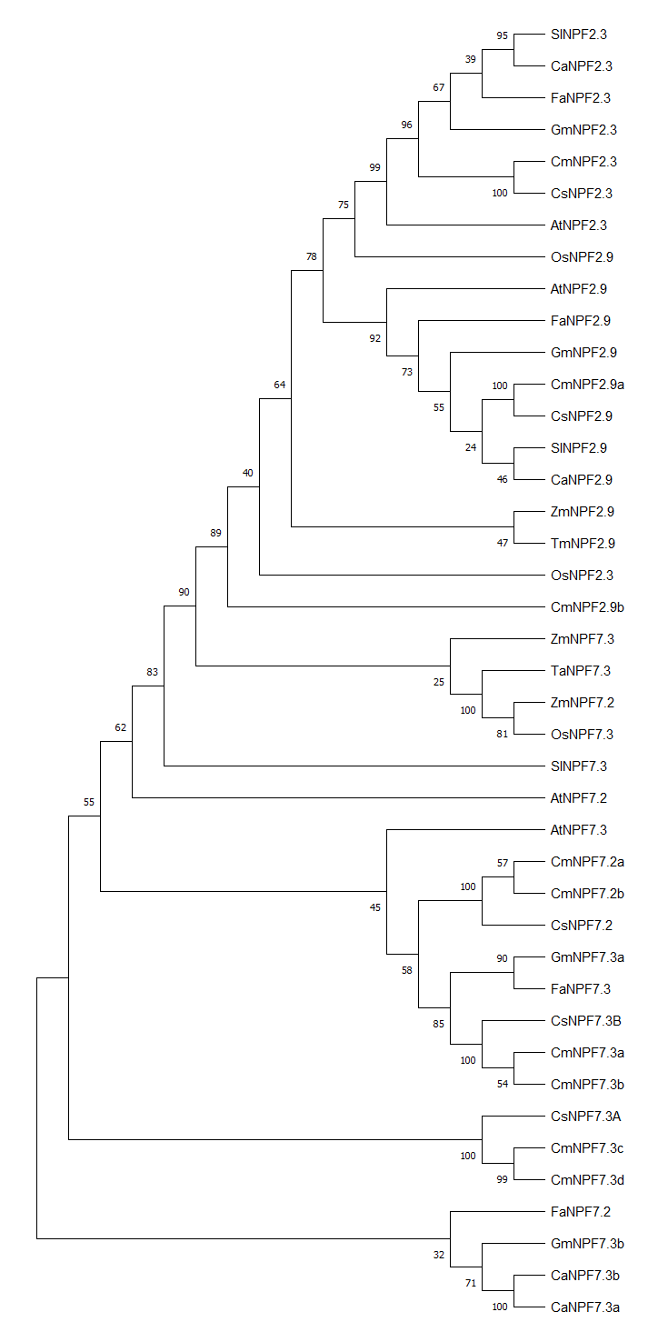 Sup.Figure3