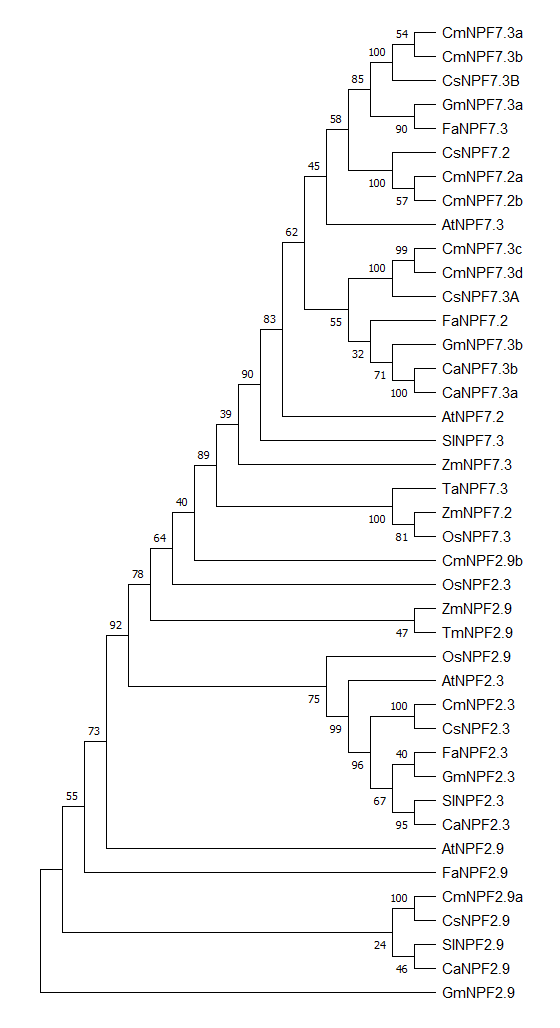 Sup.Figure4