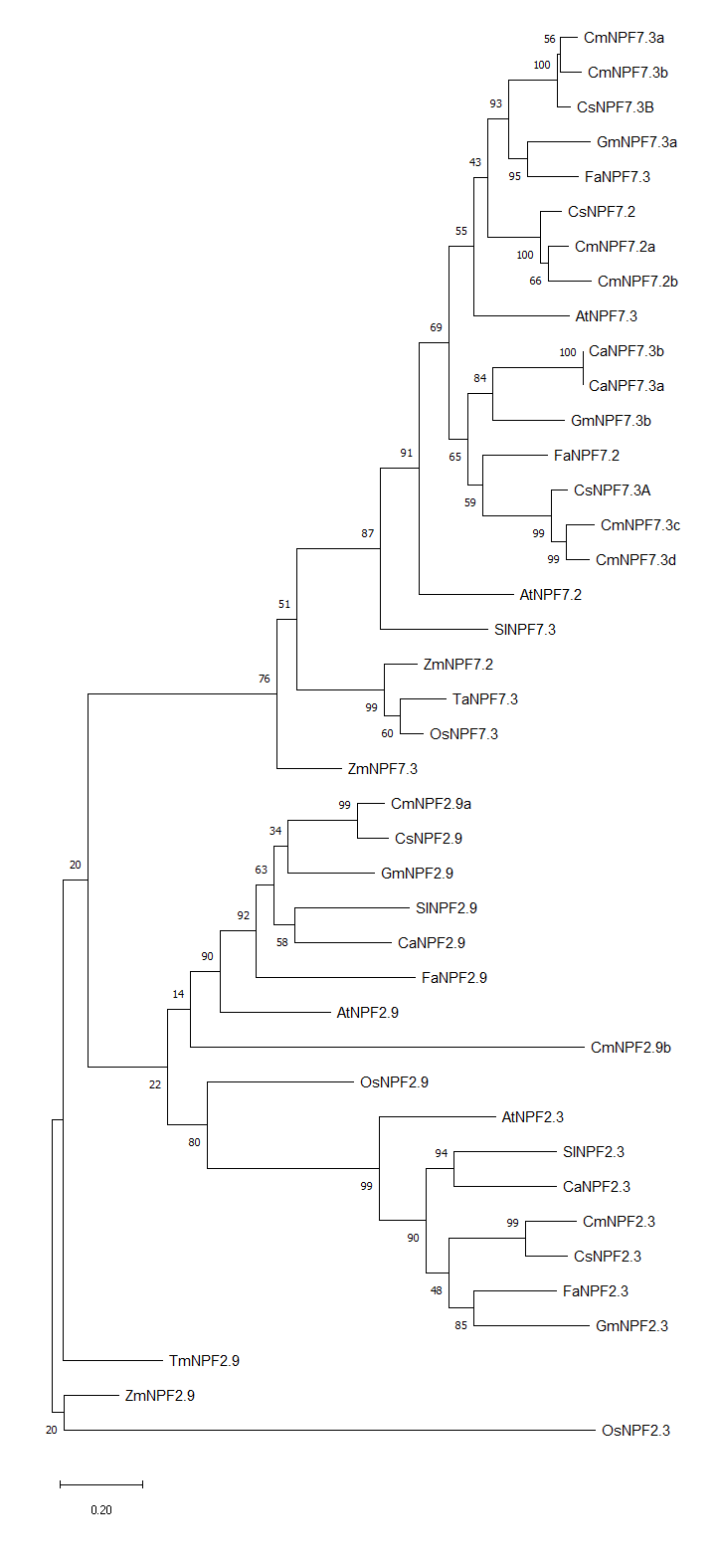 Sup.Figure5