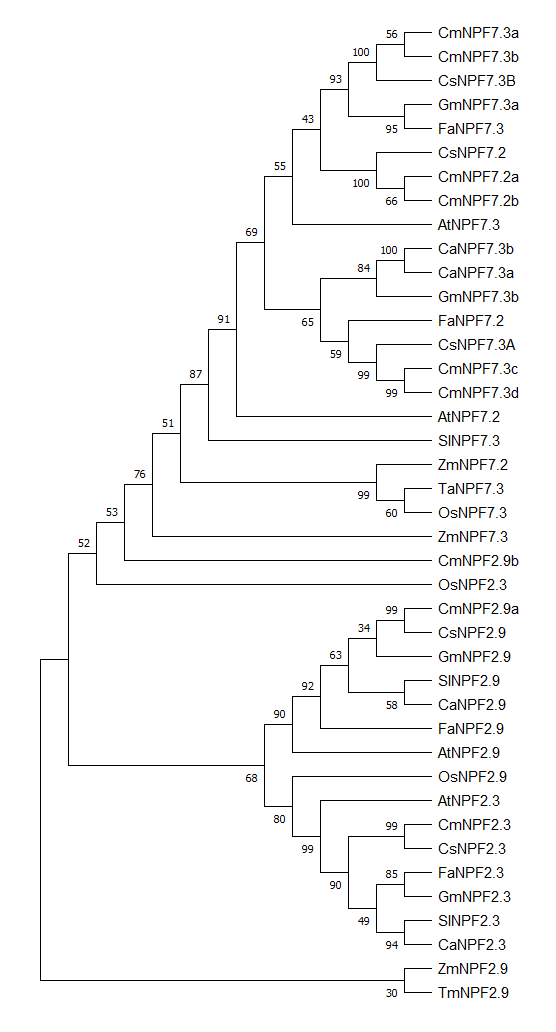 Sup.Figure6